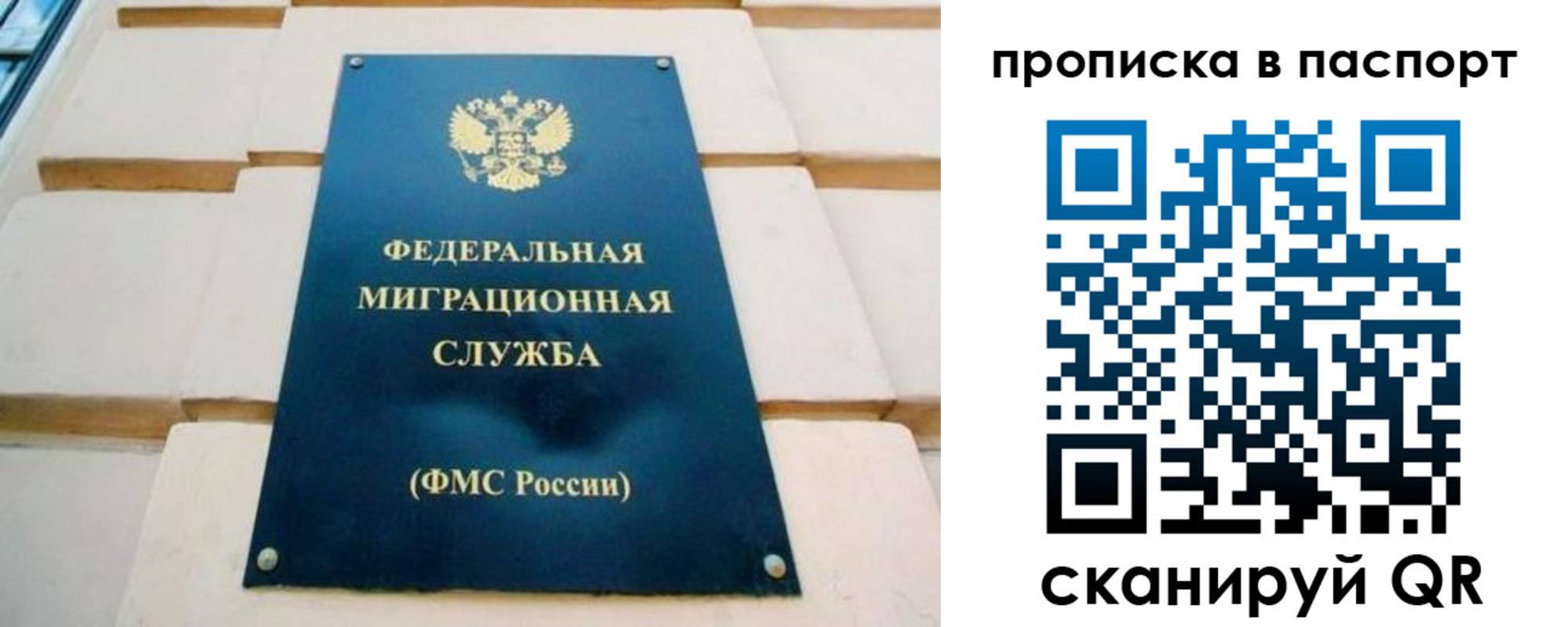временная регистрация гарантия в Димитровграде